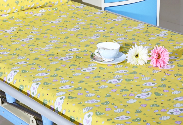 Blue Ridge Mountains