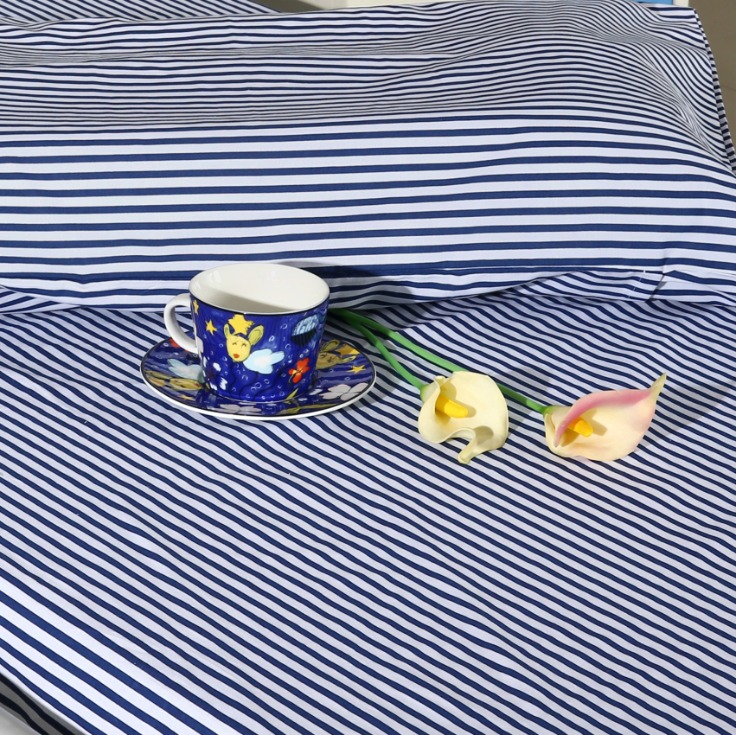 Blue Ridge Mountains